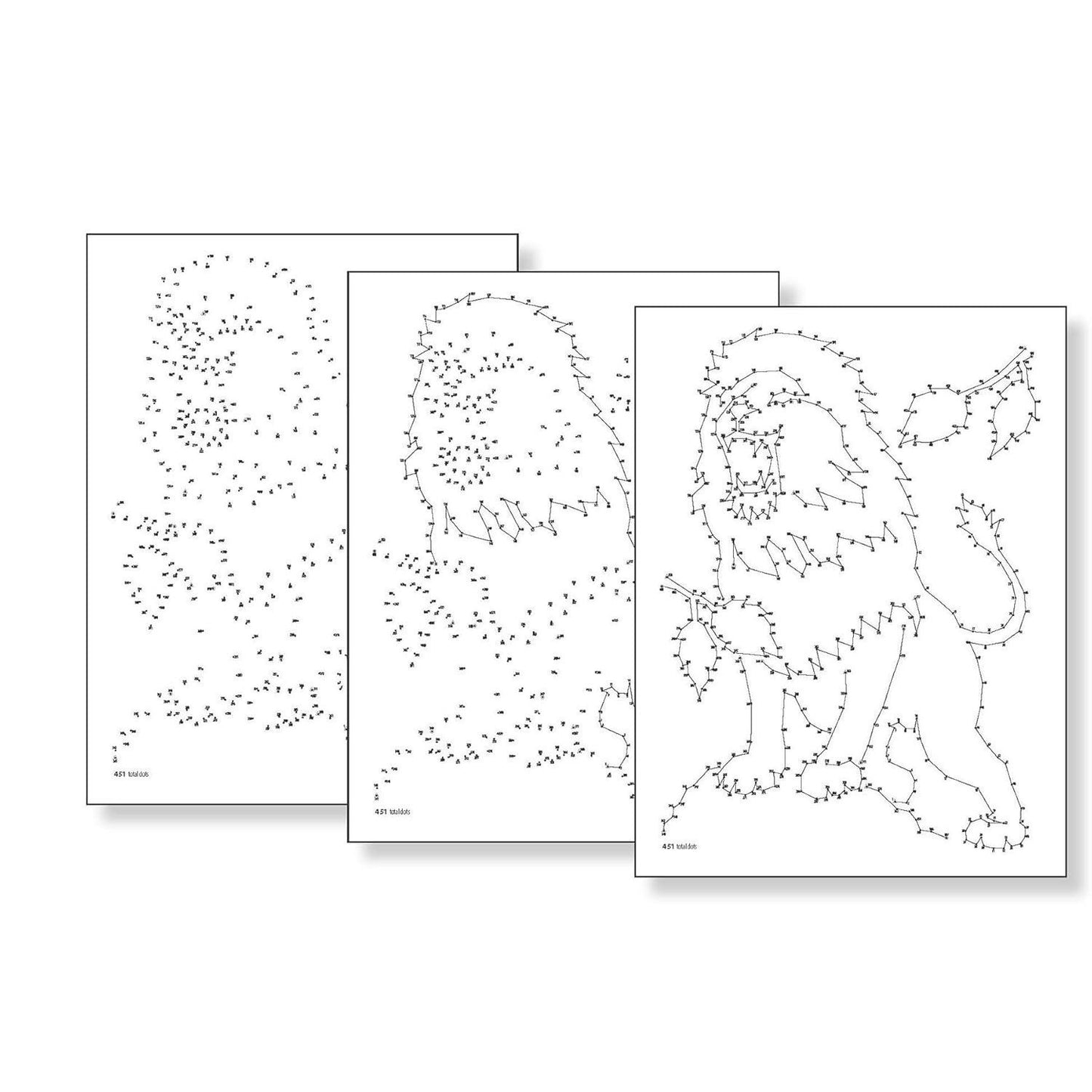 Creative Haven Flowers Dot-To-Dot Coloring Book