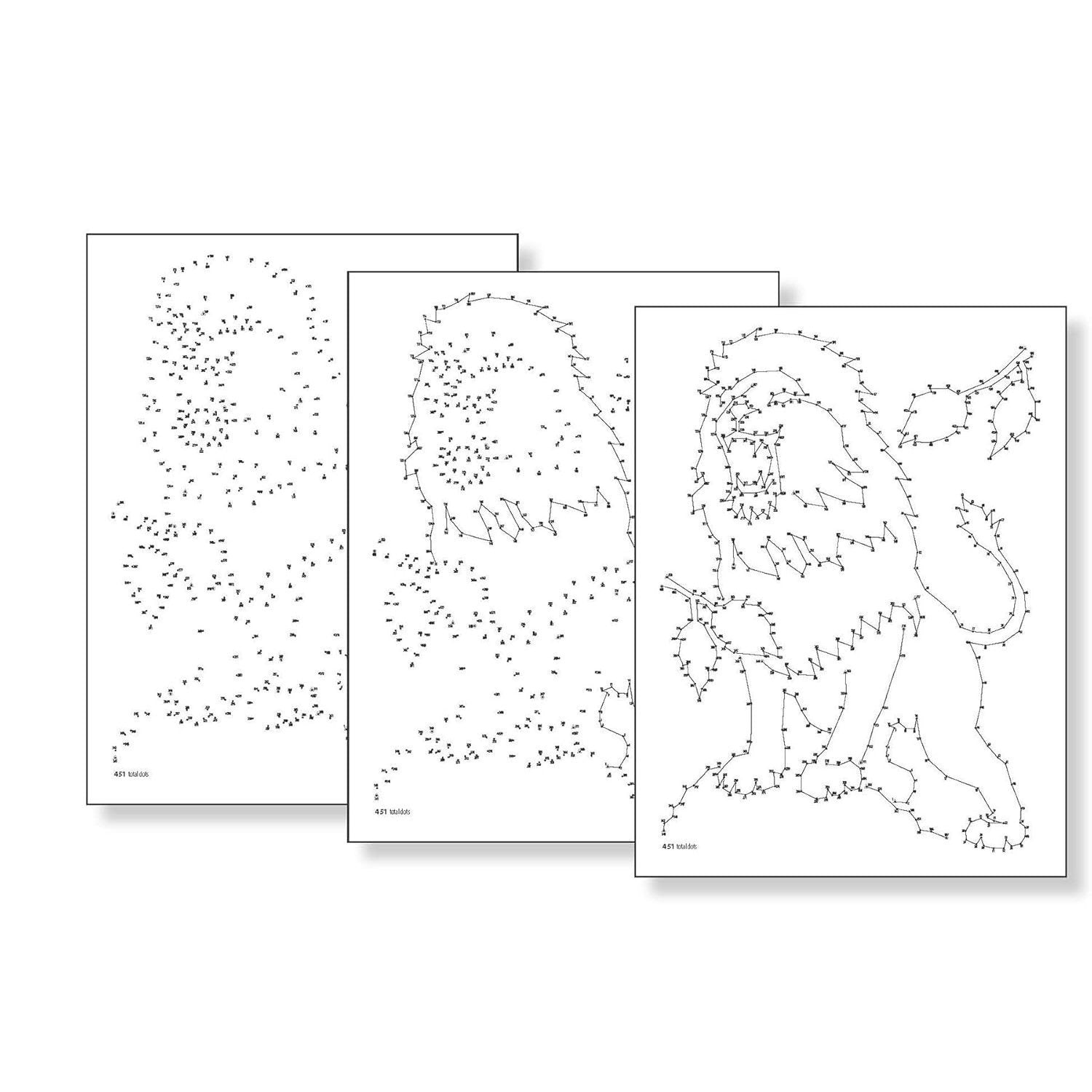 Creative Haven Flowers Dot-To-Dot Coloring Book