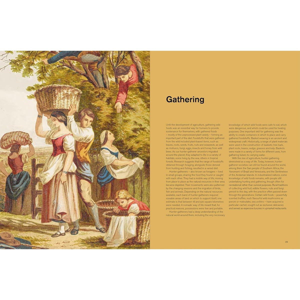 Repast: The Story of Food