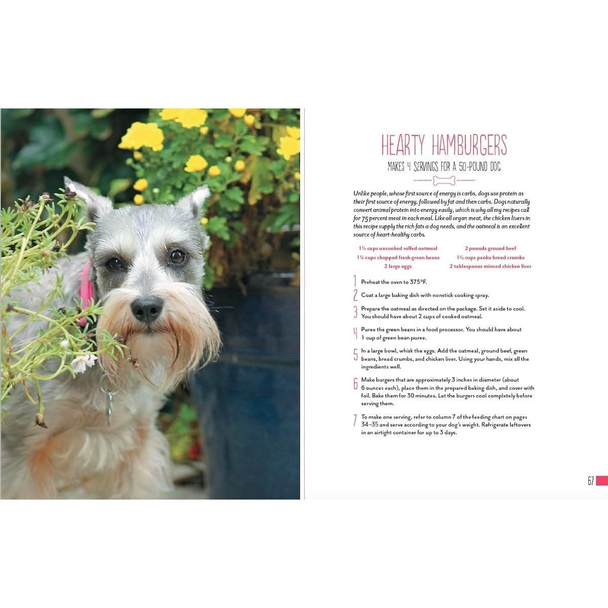 Home Cooking for Your Dog: 75 Holistic Recipes for a Healthier Dog