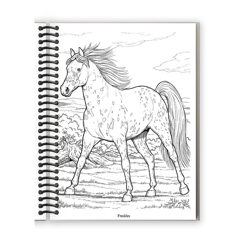 Wonderful World of Horses Coloring Book (Spiral Bound)