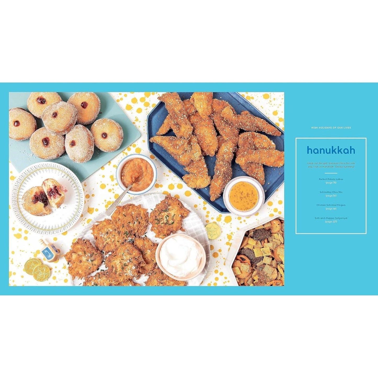 Jew-Ish: A Cookbook: Reinvented Recipes from a Modern Mensch
