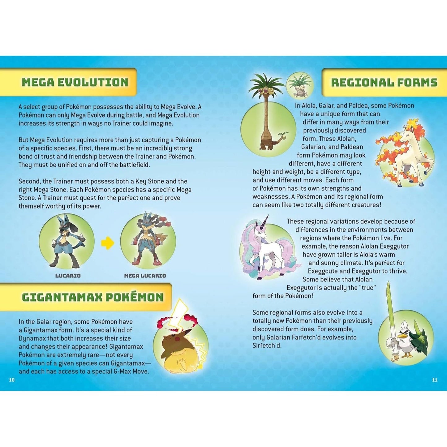 Super Duper Extra Deluxe Essential Handbook (Pokémon) (Spiral Bound)