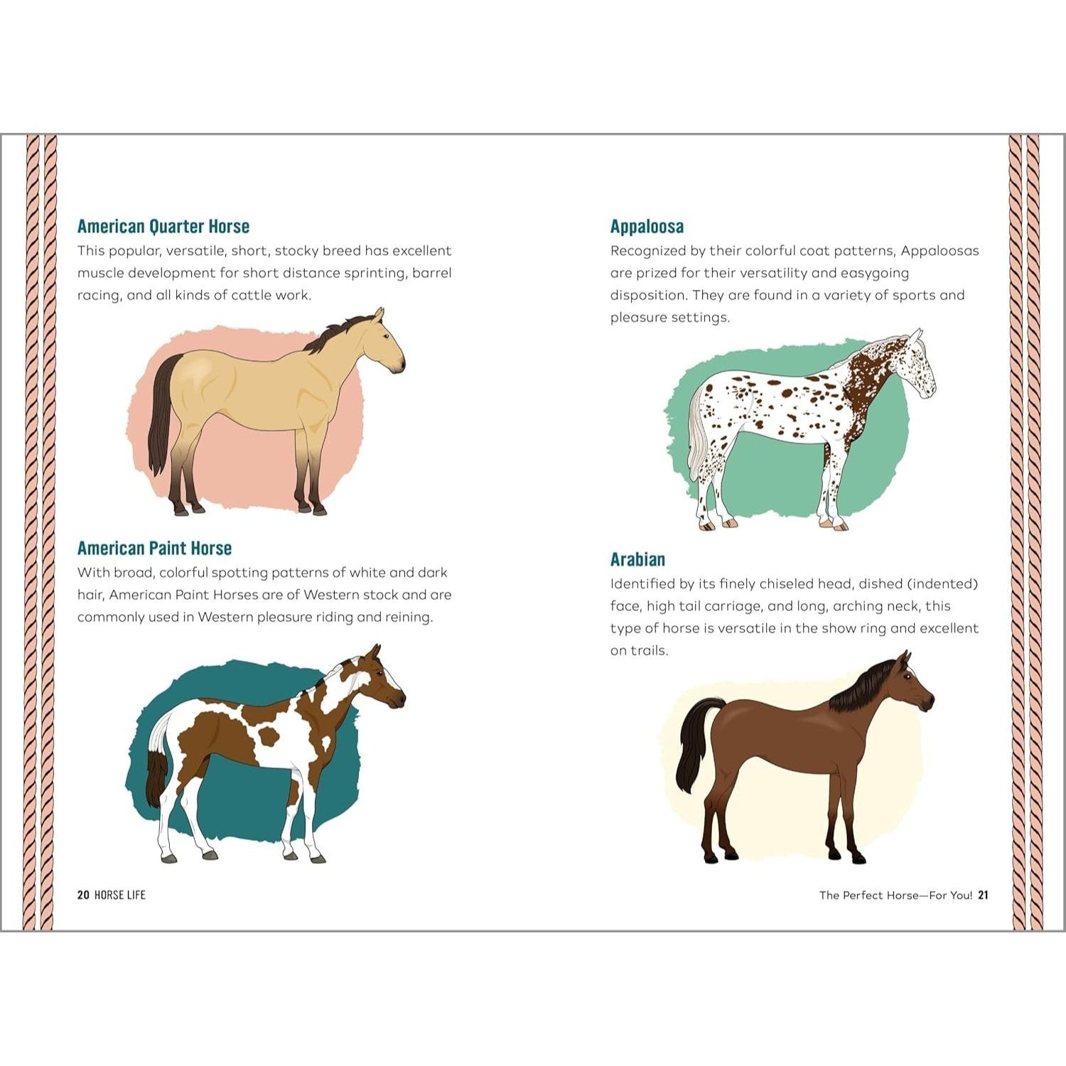 Horse Life: The Ultimate Guide to Caring for and Riding Horses for Kids