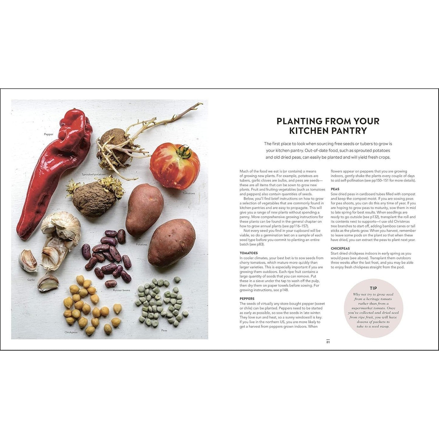 Grow Food for Free: The Sustainable, Zero-Cost, Low-Effort Way to a Bountiful Harvest (Spiral Bound)