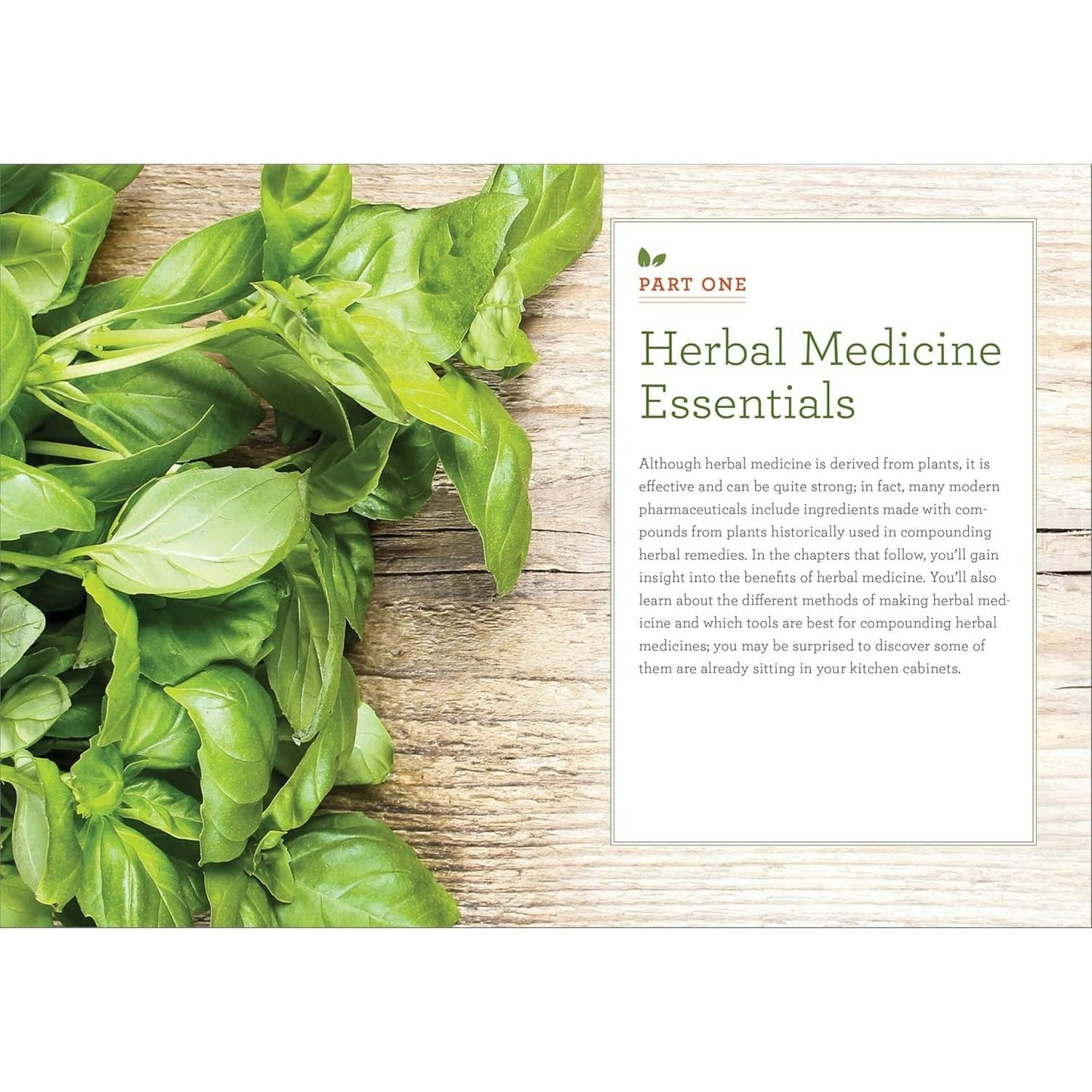 The Practical Herbal Medicine Handbook: Your Quick Reference Guide to Healing Herbs & Remedies