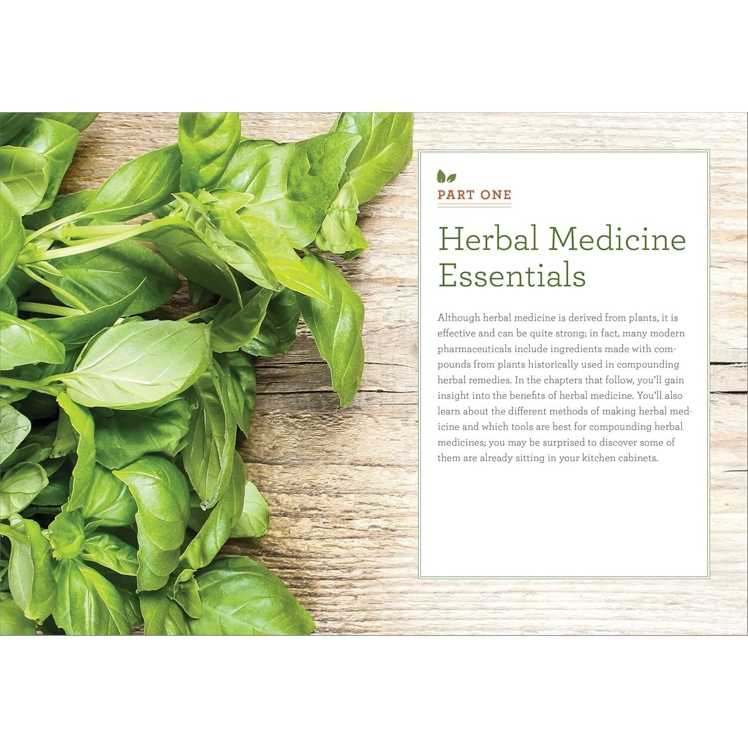 The Practical Herbal Medicine Handbook: Your Quick Reference Guide to Healing Herbs & Remedies