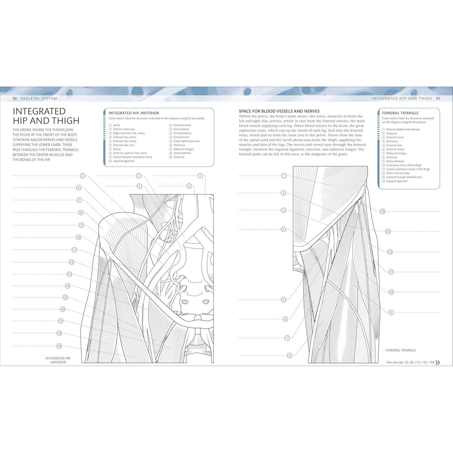 The Human Body Coloring Book: The Ultimate Anatomy Study Guide, Second Edition (DK Human Body Guides)