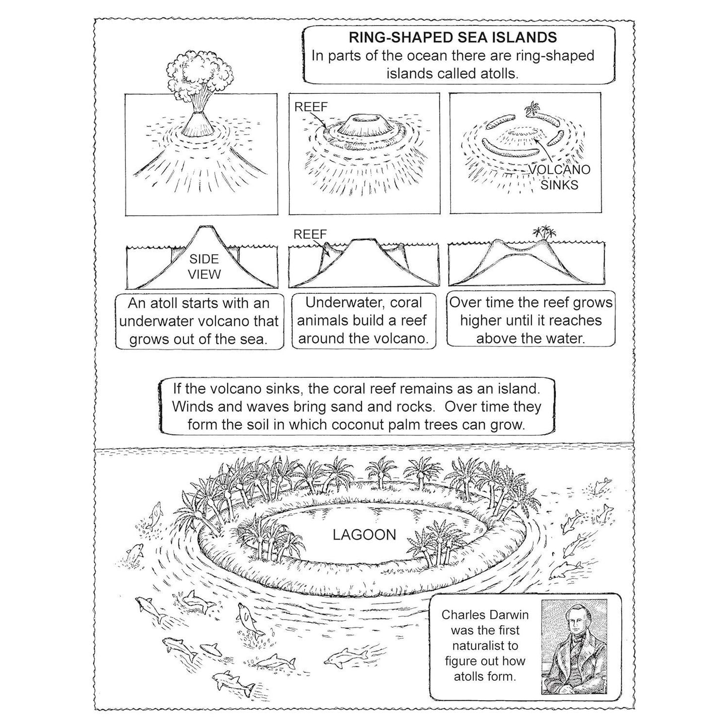 My First Book about the Oceans