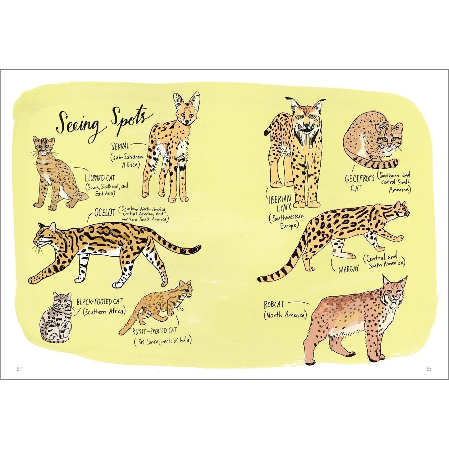 Wildlife Anatomy: The Curious Lives & Features of Wild Animals Around the World