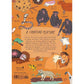Wildlife Anatomy: The Curious Lives & Features of Wild Animals Around the World