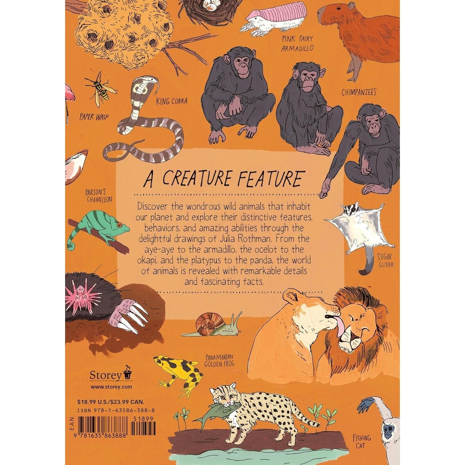 Wildlife Anatomy: The Curious Lives & Features of Wild Animals Around the World