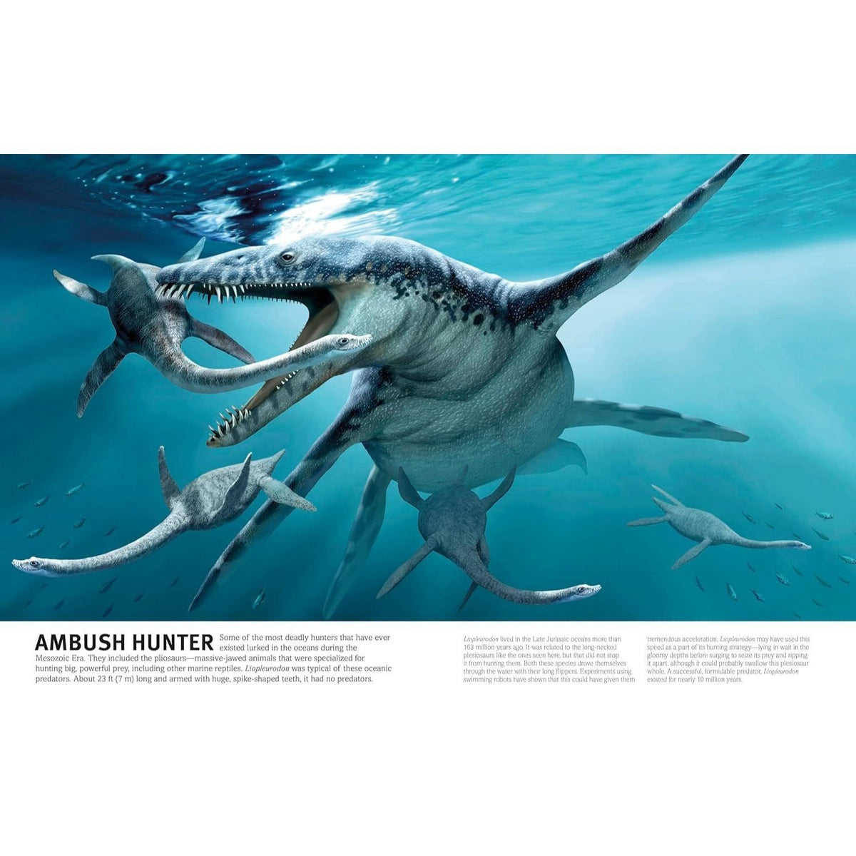 Our World in Pictures the Dinosaur Book (DK Our World in Pictures) (Spiral Bound)