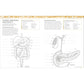The Human Body Coloring Book: The Ultimate Anatomy Study Guide, Second Edition (DK Human Body Guides)