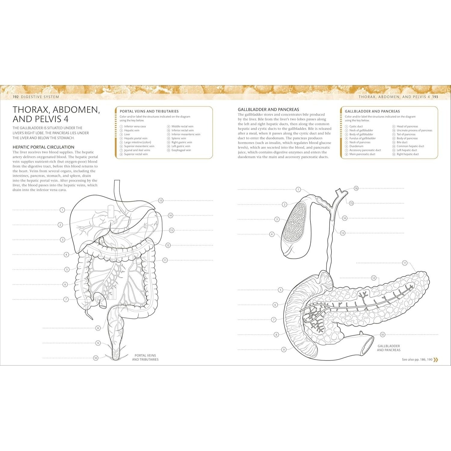 The Human Body Coloring Book: The Ultimate Anatomy Study Guide, Second Edition (DK Human Body Guides)