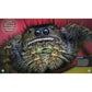 Super Bug Encyclopedia: The Biggest, Fastest, Deadliest Creepy-Crawlers on the Planet (DK Super Nature Encyclopedias) (Spiral Bound)