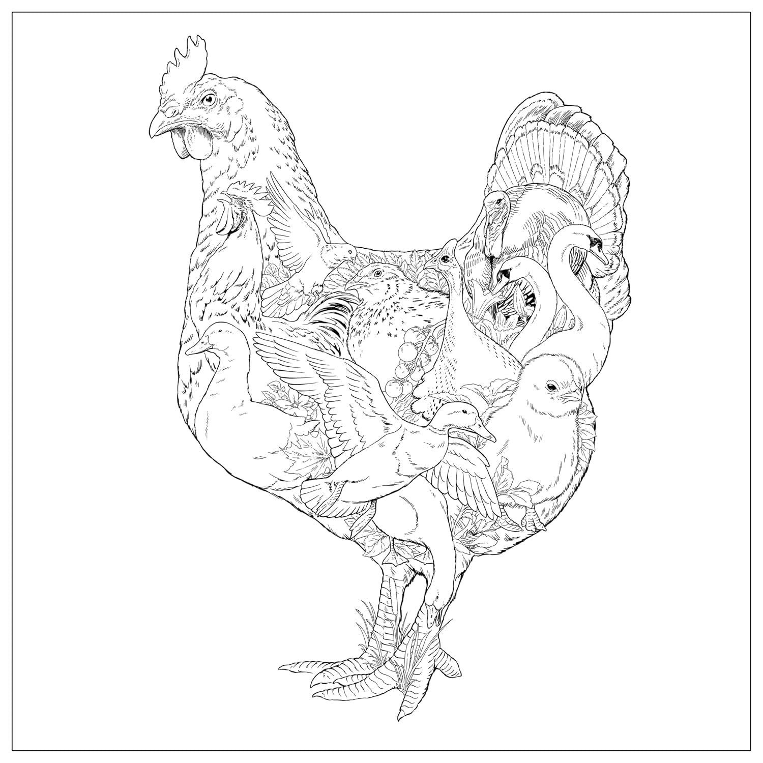 Imaginaria: In the Garden: An Artist's Coloring Book of Birds and Flowers Inside the Lines