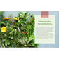 The Big Book of Herbal Medicine: 300 Natural Remedies for Health and Wellness (Spiral Bound)