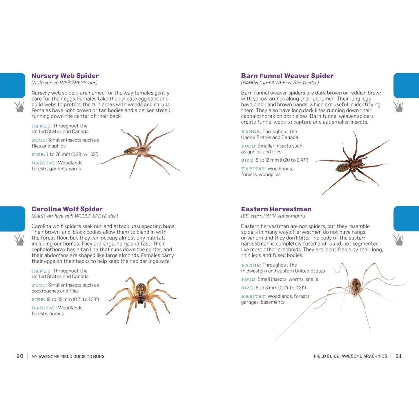My Awesome Field Guide to Bugs: Find and Identify Your Crawling and Flying Bugs (My Awesome Field Guide for Kids)