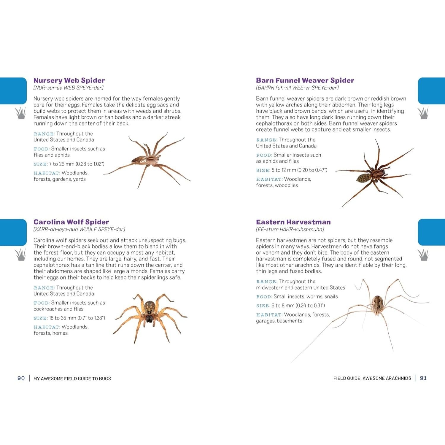My Awesome Field Guide to Bugs: Find and Identify Your Crawling and Flying Bugs (My Awesome Field Guide for Kids)