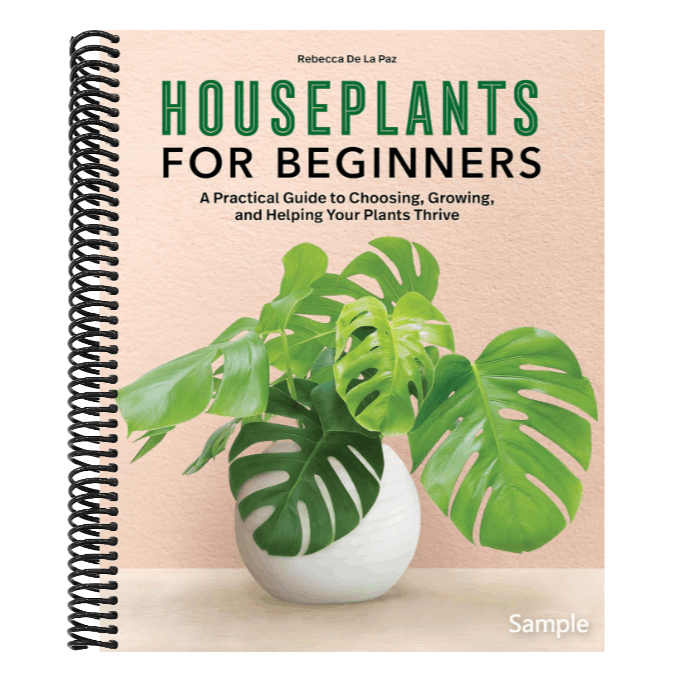 Houseplants for Beginners: A Practical Guide to Choosing, Growing, and Helping Your Plants Thrive