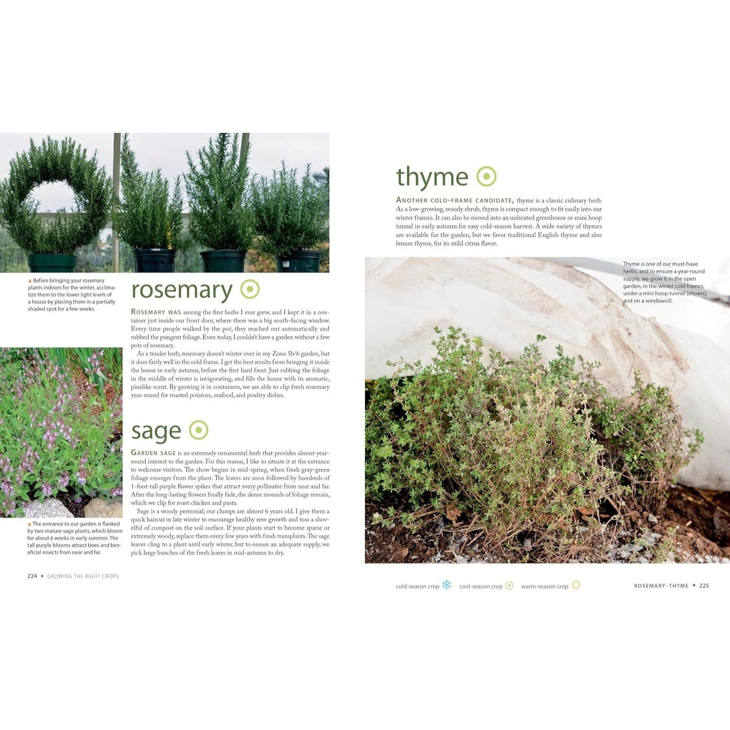 The Year-Round Vegetable Gardener: How to Grow Your Own Food 365 Days a Year, No Matter Where You Live (Spiral Bound)