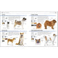 The Complete Dog Breed Book, New Edition (Previously Published as Top Dog) (DK Definitive Pet Breed Guides) (Spiral Bound)