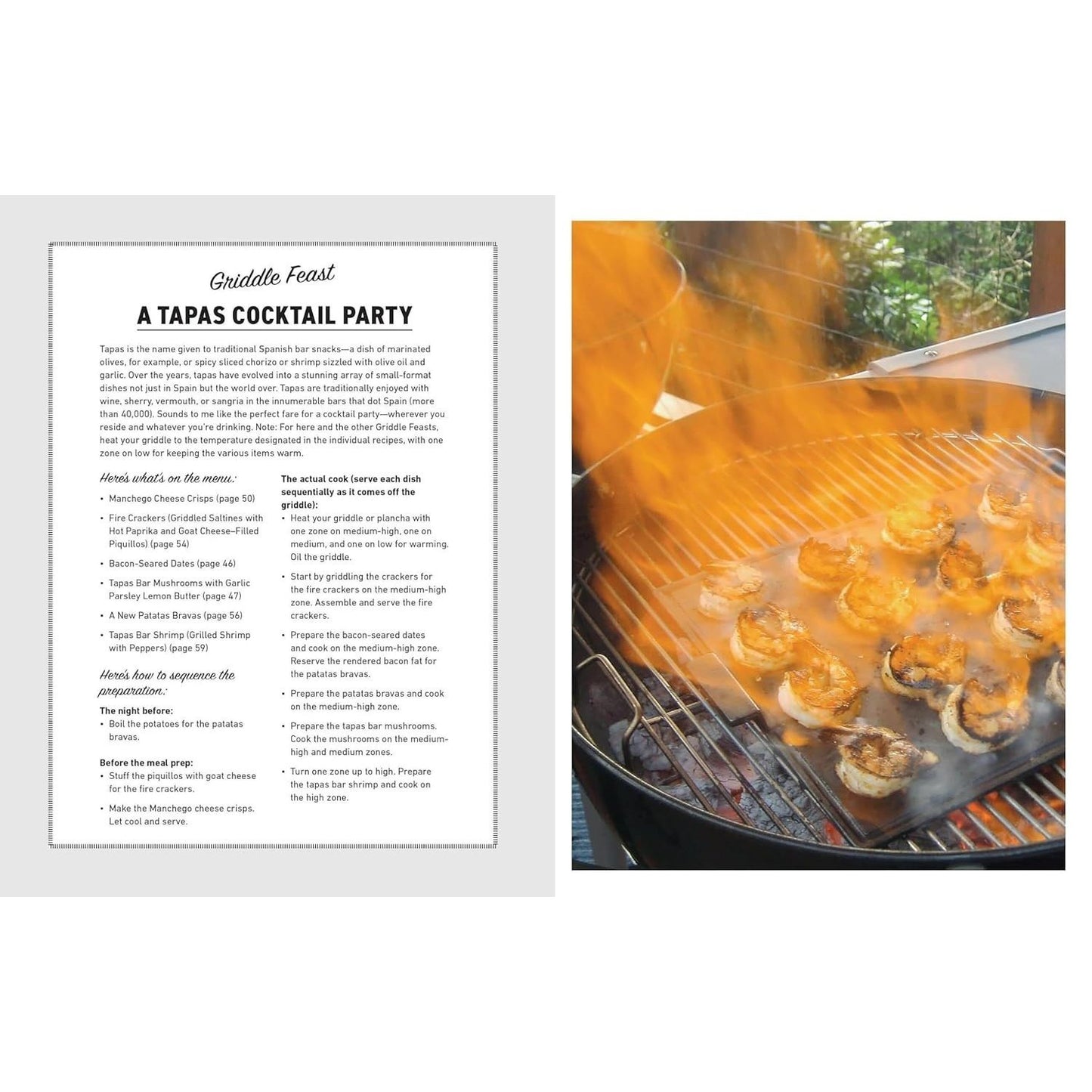 Project Griddle: The Versatile Art of Grilling on a Flattop (Spiral Bound)
