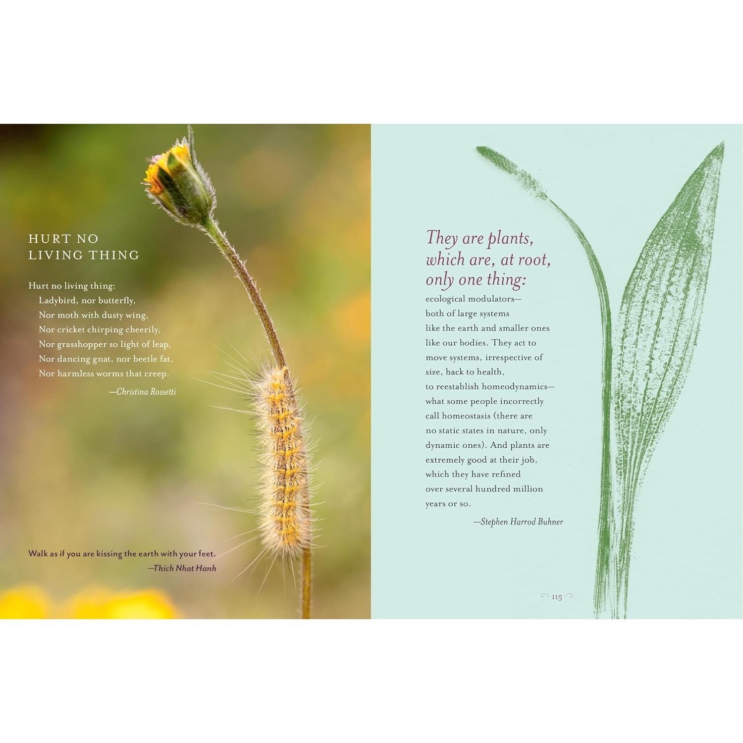 The Generosity of Plants: Shared Wisdom from the Community of Herb Lovers