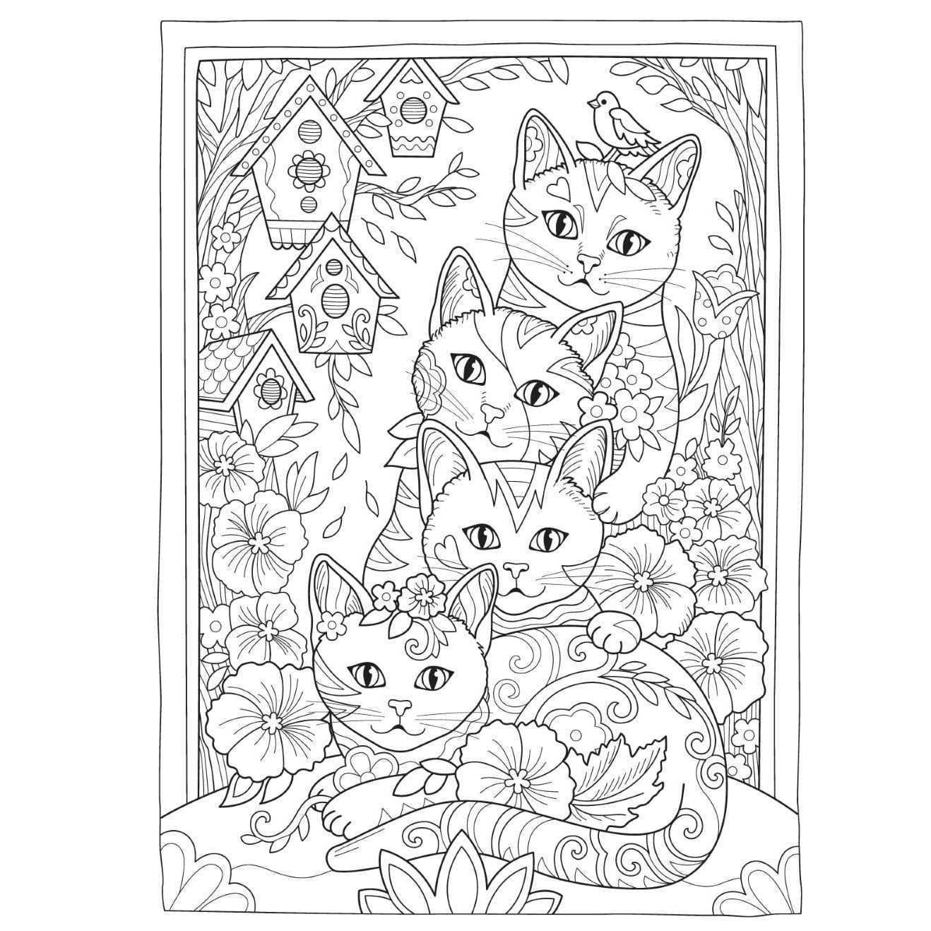 Creative Haven Country Cats & City Kitties Coloring Book