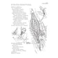 The Human Brain Coloring Book