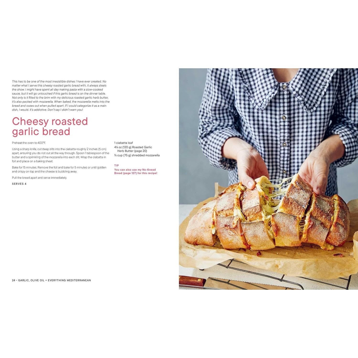 Garlic, Olive Oil + Everything Mediterranean: Simple Recipes for the Home Cook (a Cookbook)
