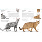 The Cat Encyclopedia: The Definitive Visual Guide (DK Pet Encyclopedias) (Spiral Bound)