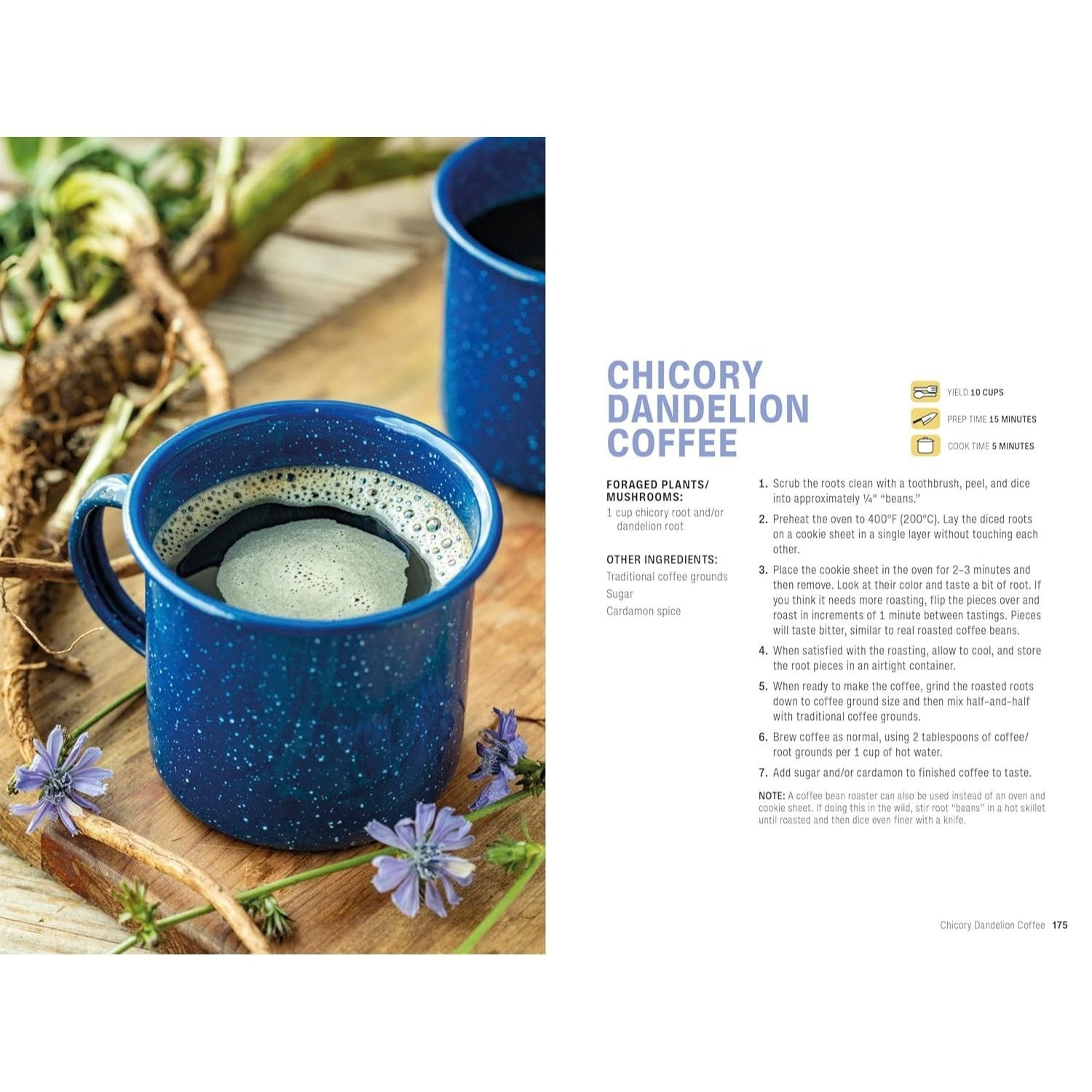Foraging: Explore Nature's Bounty and Turn Your Foraged Finds Into Flavorful Feasts (Spiral Bound)