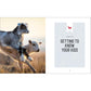 The Beginner's Guide to Raising Goats: How to Keep a Happy Herd