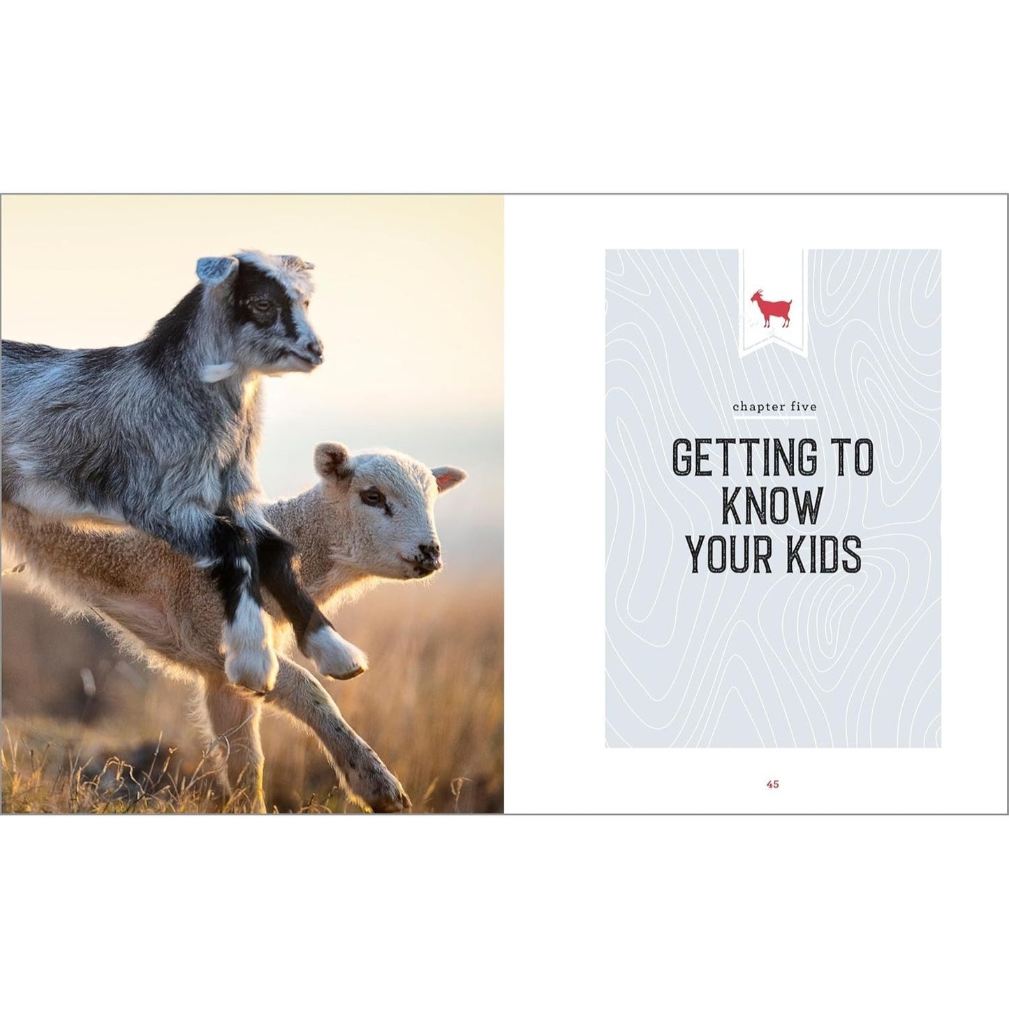 The Beginner's Guide to Raising Goats: How to Keep a Happy Herd