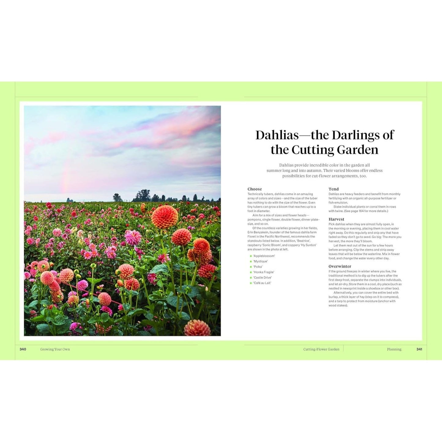Martha Stewart's Gardening Handbook: The Essential Guide to Designing, Planting, and Growing (Spiral Bound)