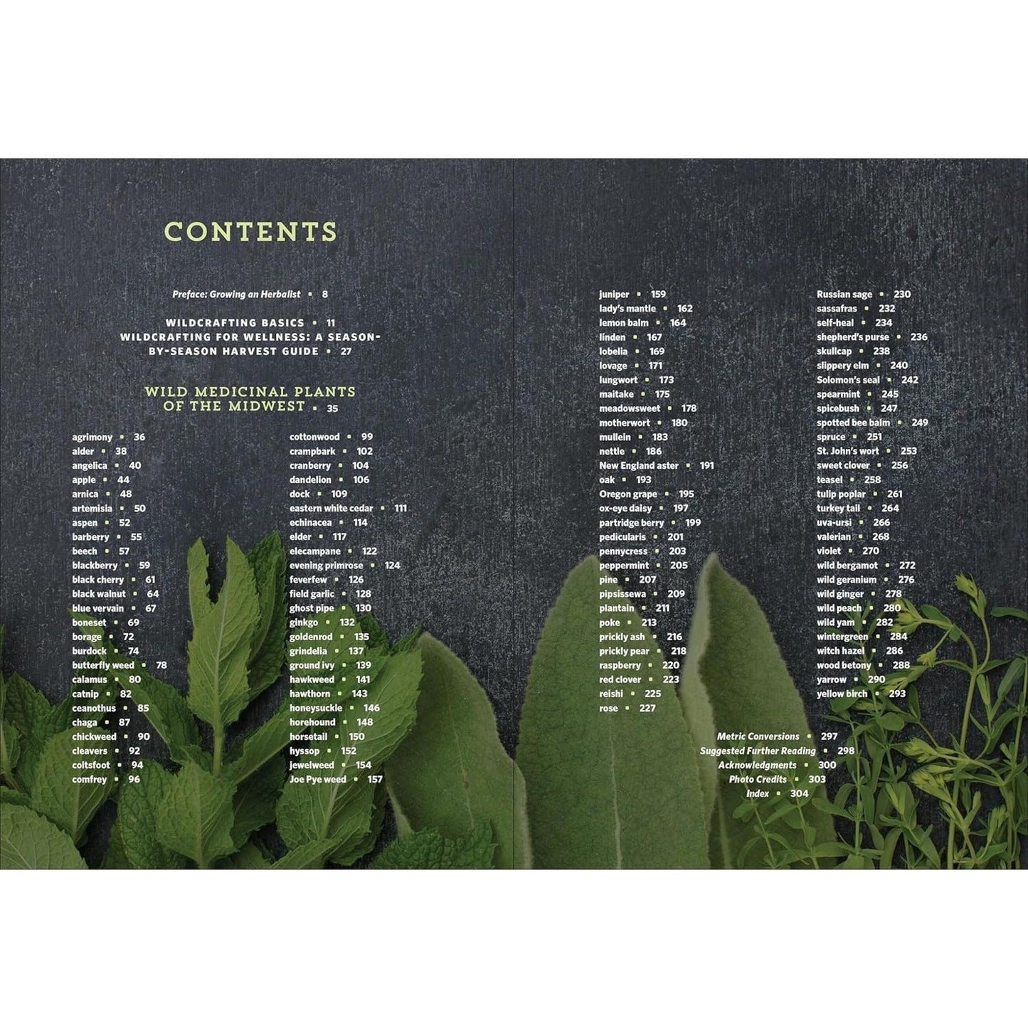 Midwest Medicinal Plants: Identify, Harvest, and Use 109 Wild Herbs for Health and Wellness (Medicinal Plants) (Spiral Bound)