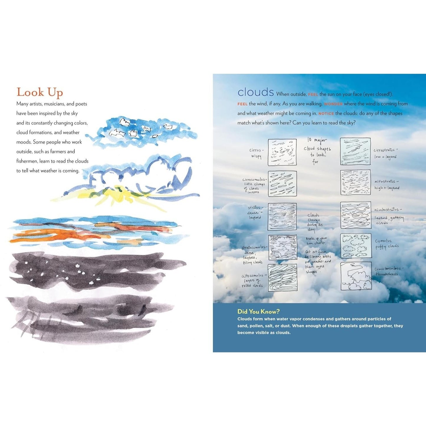 The Curious Nature Guide: Explore the Natural Wonders All Around You