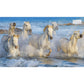 The Horse Encyclopedia (DK Pet Encyclopedias)