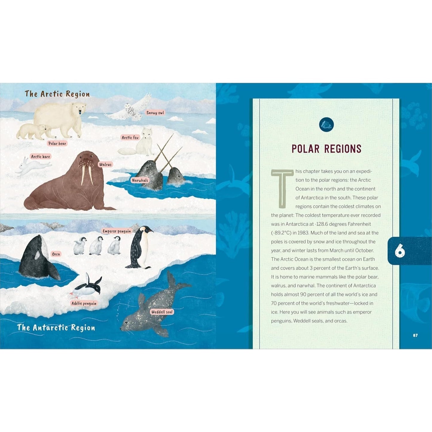 Ocean Activities for Kids: 20 Hands-On Projects to Explore the Sea