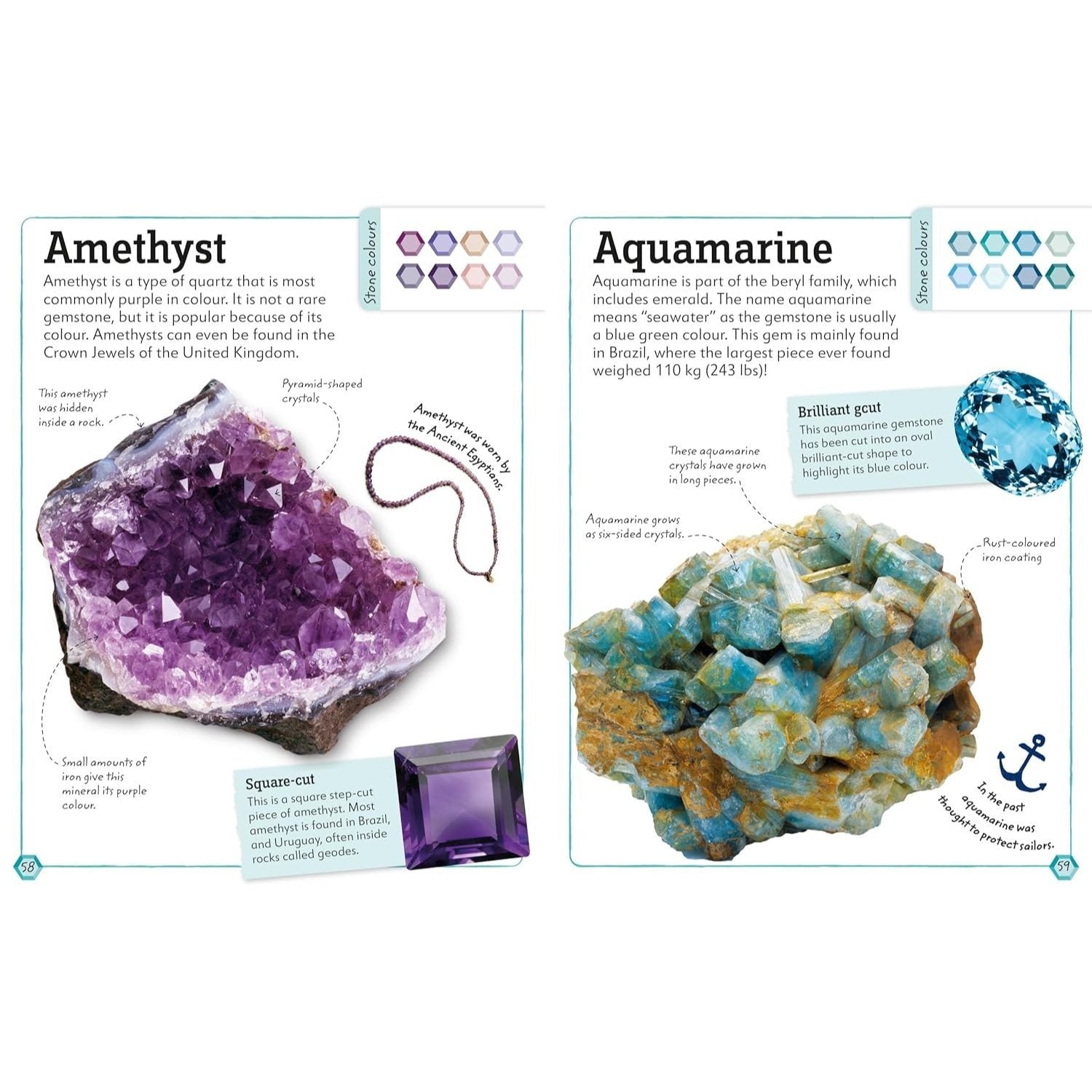 My Book of Rocks and Minerals: Things to Find, Collect, and Treasure (My Book of) (Spiral Bound)