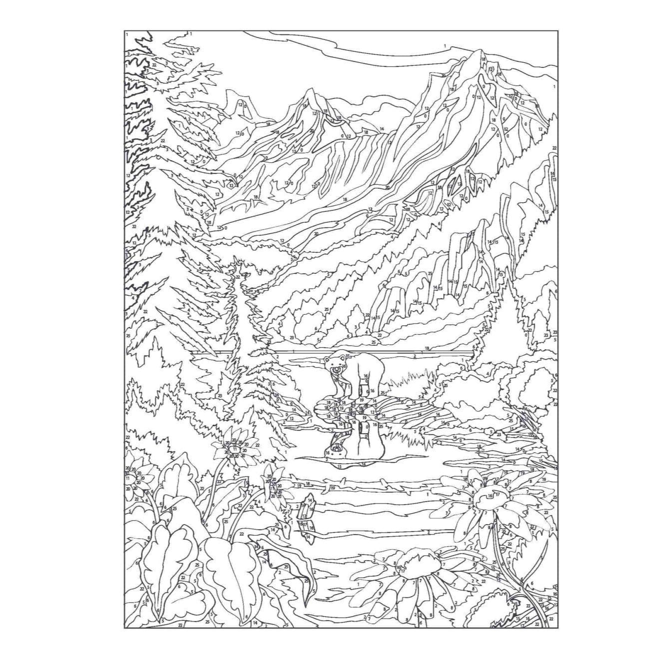 Creative Haven Country Scenes Color by Number Coloring Book