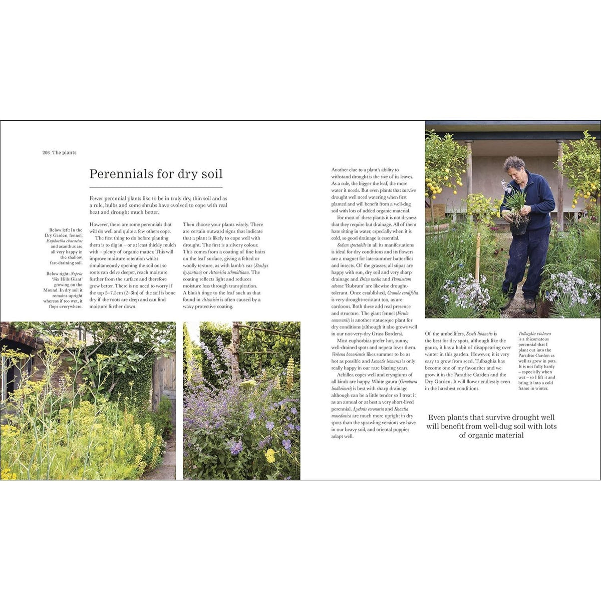 The Complete Gardener: A Practical, Imaginative Guide to Every Aspect of Gardening (Spiral Bound)