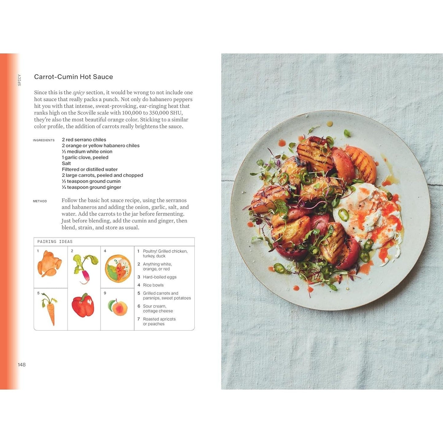 The Condiment Book: Unlocking Maximum Flavor with Minimal Effort