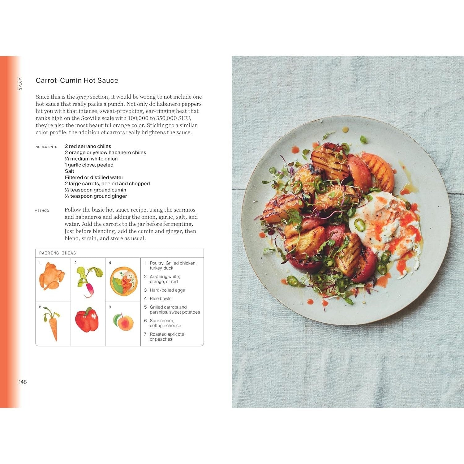 The Condiment Book: Unlocking Maximum Flavor with Minimal Effort