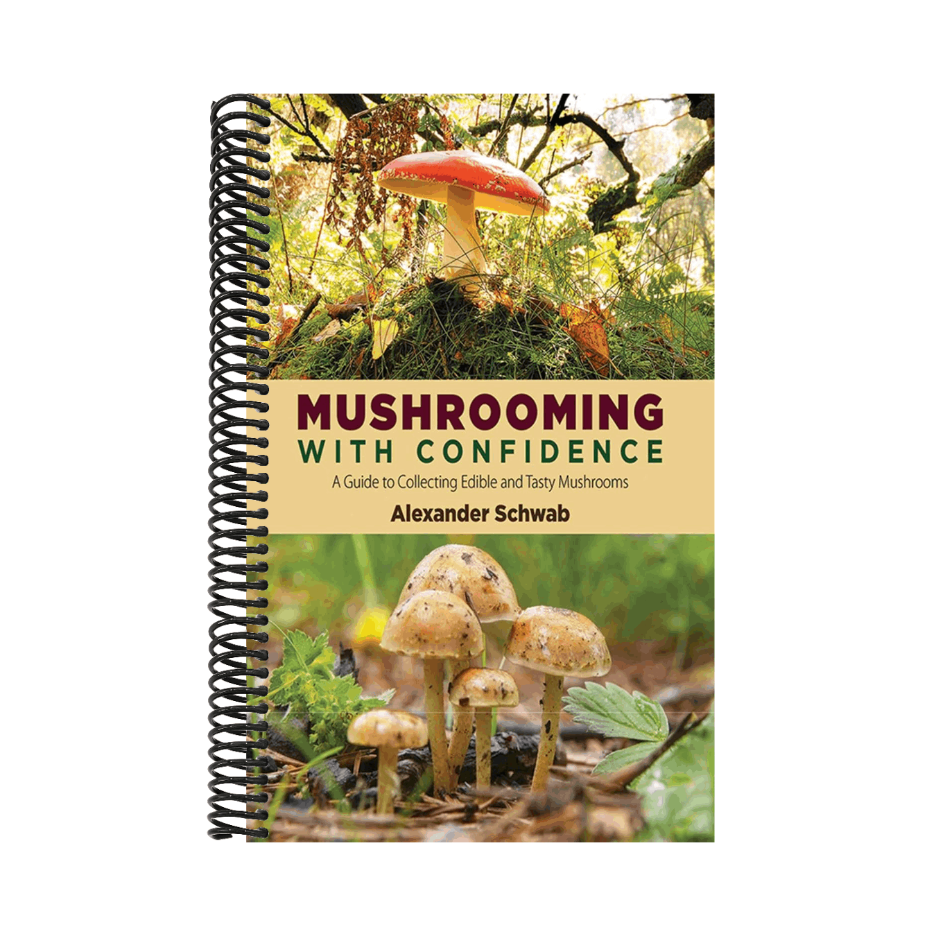 Mushrooming with Confidence: A Guide to Collecting Edible and Tasty Mushrooms