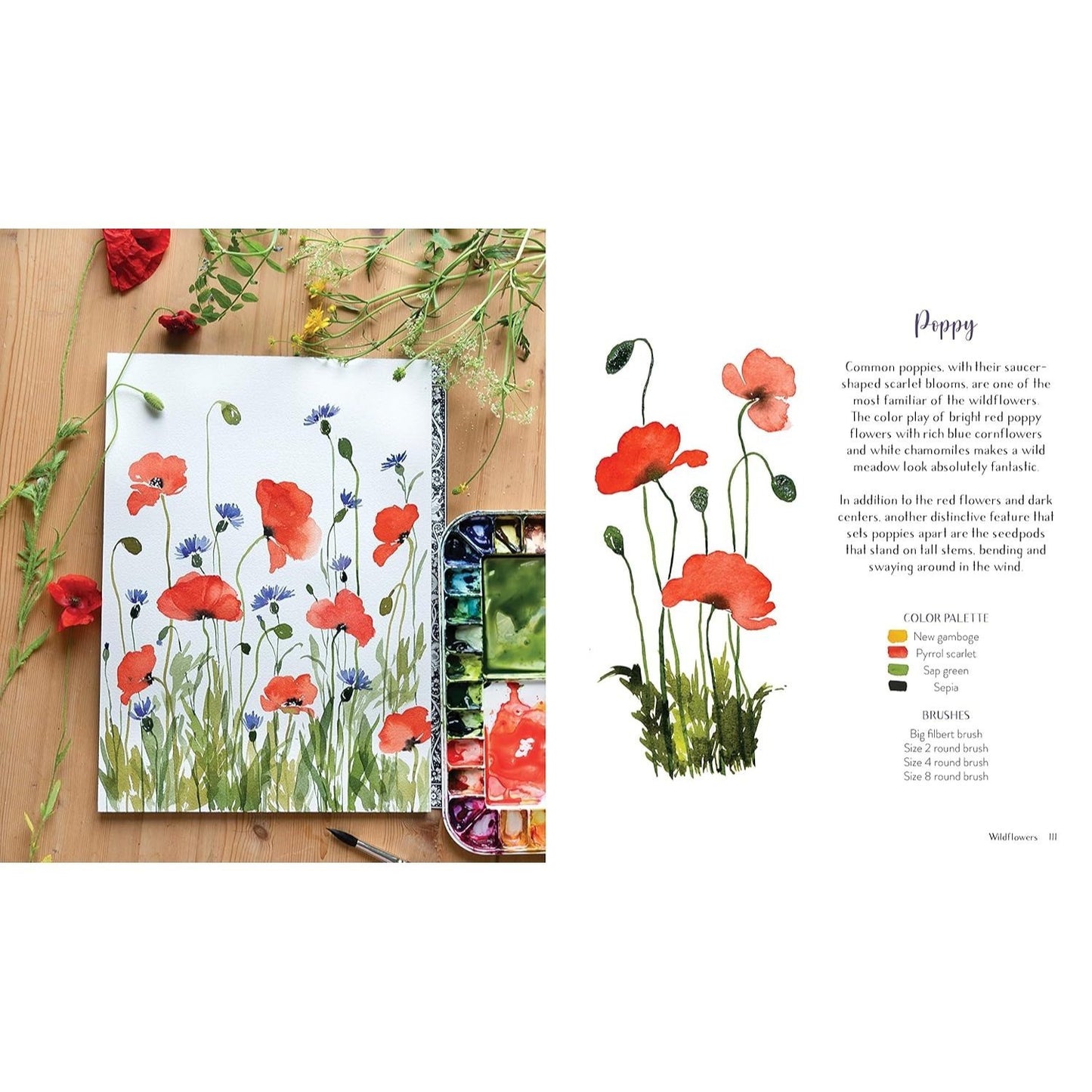 Wildflower Watercolor: The Beginner's Guide to Painting Beautiful Florals