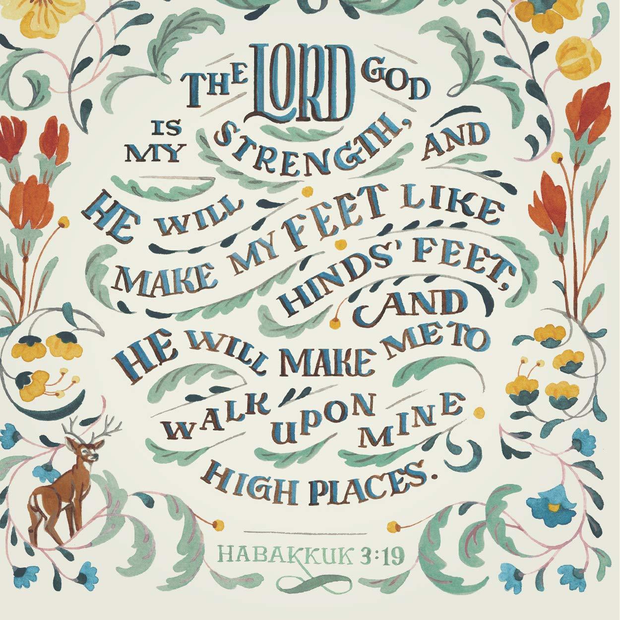 Hinds' Feet on High Places: An Engaging Visual Journey (Spiral Bound)