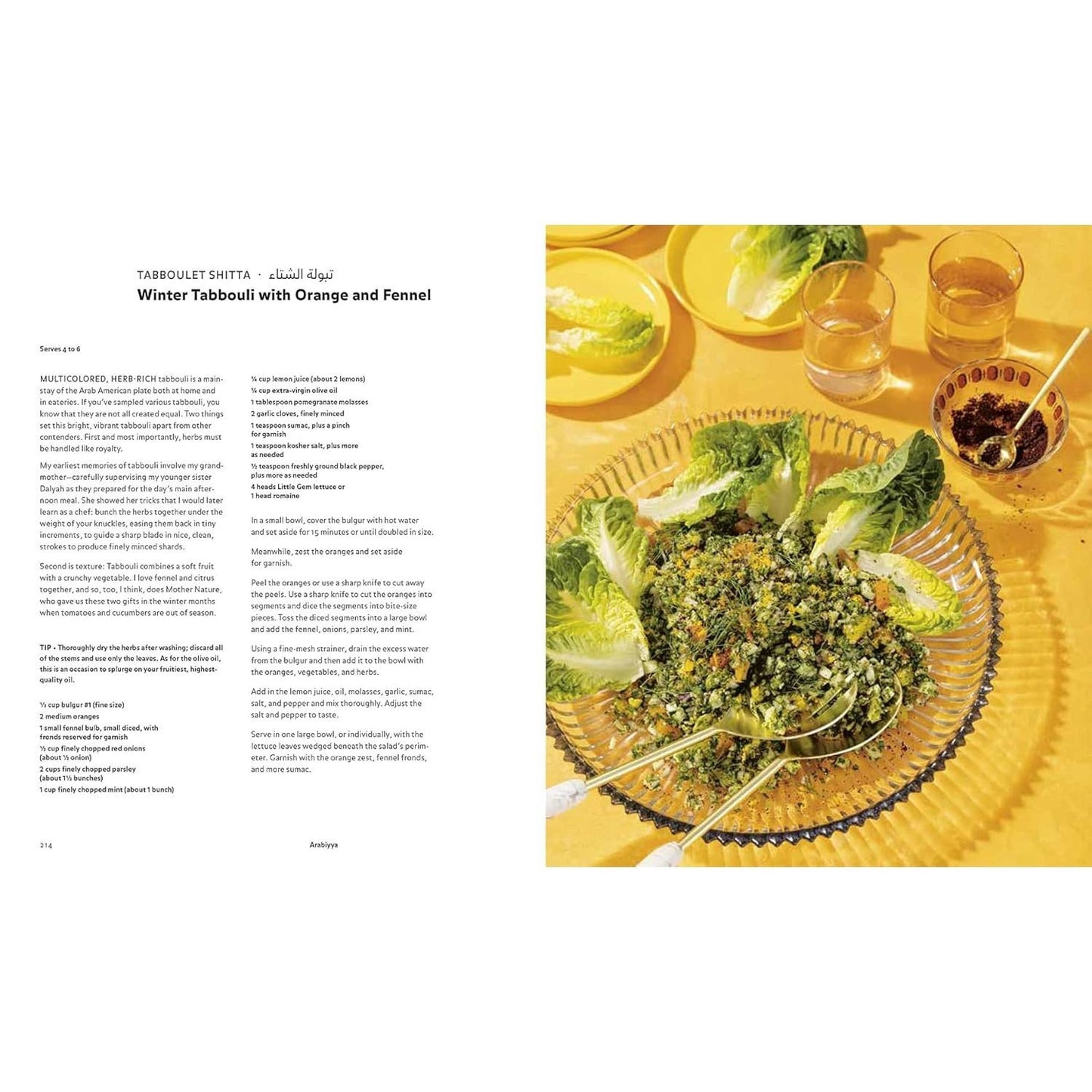 Arabiyya: Recipes from the Life of an Arab in Diaspora [A Cookbook] (Spiral Bound)